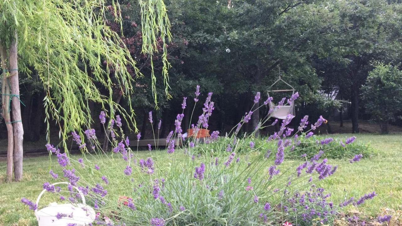 Bed and Breakfast Vieniacasaccadia Экстерьер фото